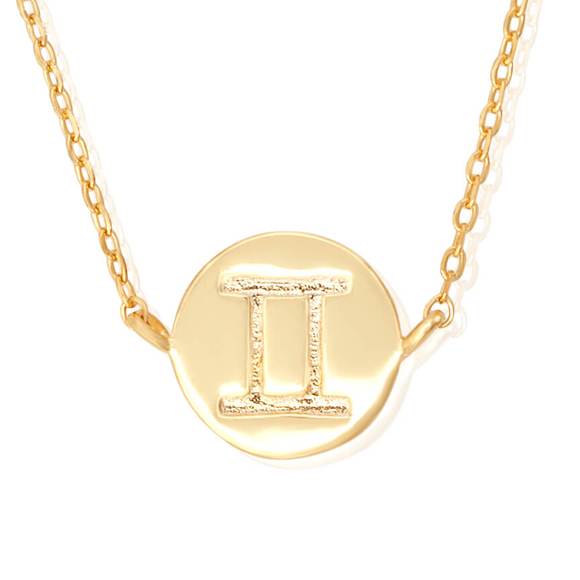 Dainty Zodiac Symbol Charm Necklace